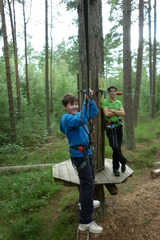 Scouts in trees