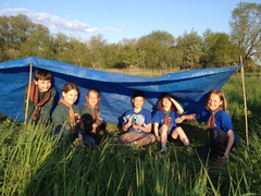Cubs shelter building Summer '16