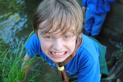 Finding frogs on the Hike June '16
