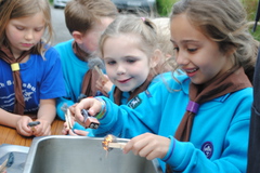 Beavers learning how to light a campfire June '16