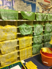 Drying the Beavers tie dye